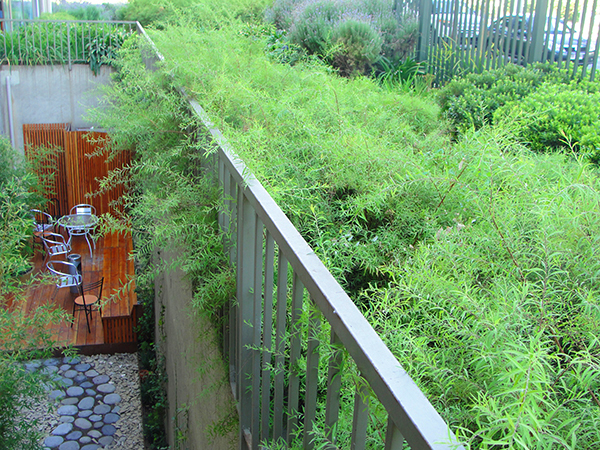 Jardín Sebastián Elcano sector inglés