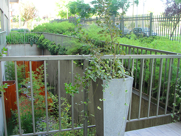 Jardín Sebastián Elcano sector inglés